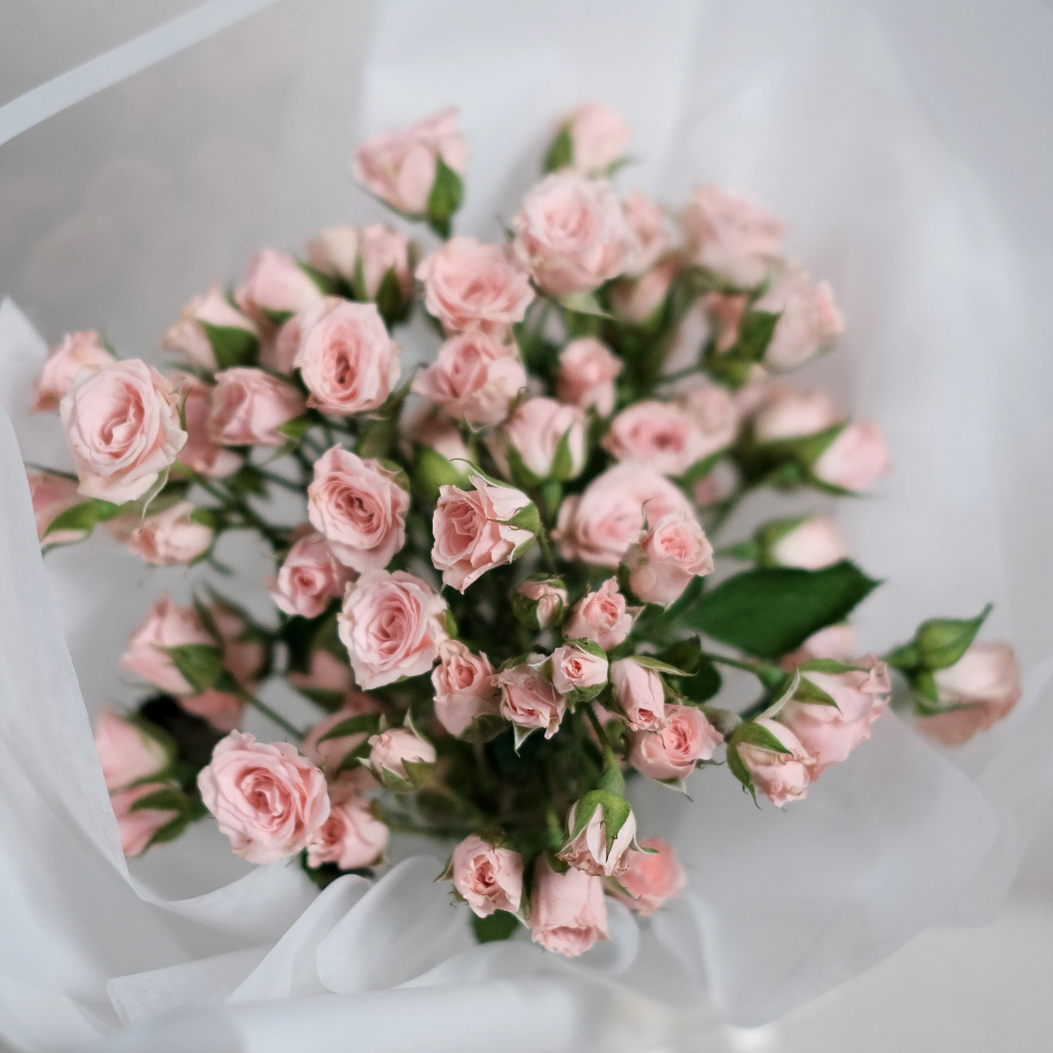 經典迷你玫瑰鮮花束