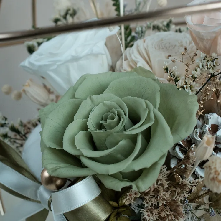 閃爍金環花禮 · 柳染綠