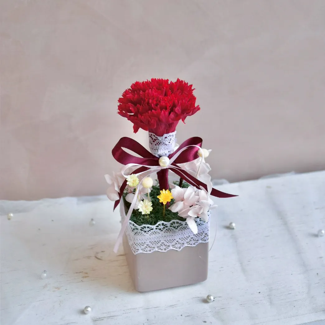 單朵永生康乃馨盆花