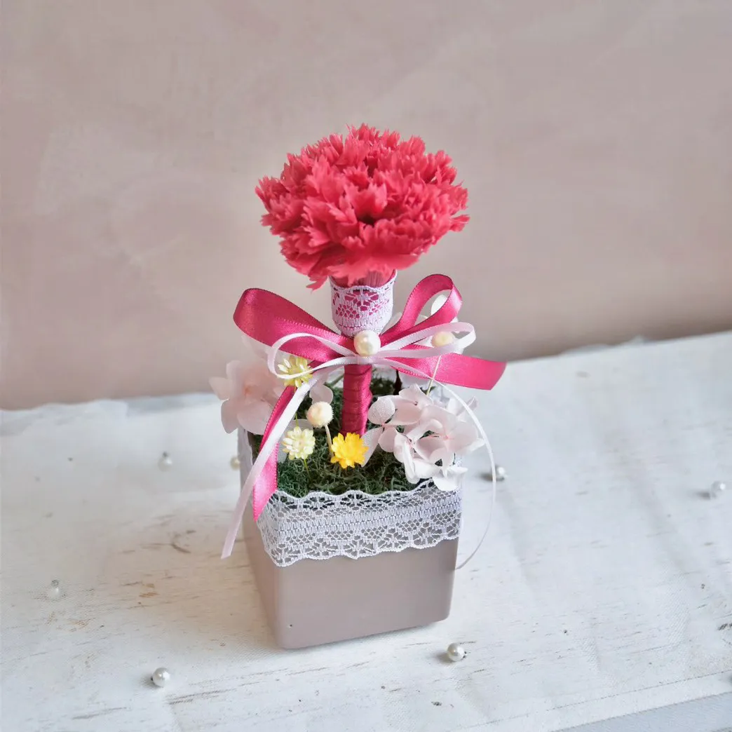 單朵永生康乃馨盆花