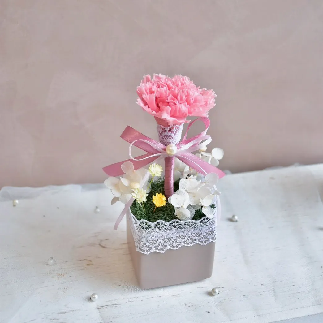 單朵永生康乃馨盆花