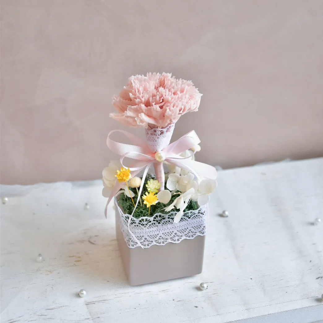 單朵永生康乃馨盆花