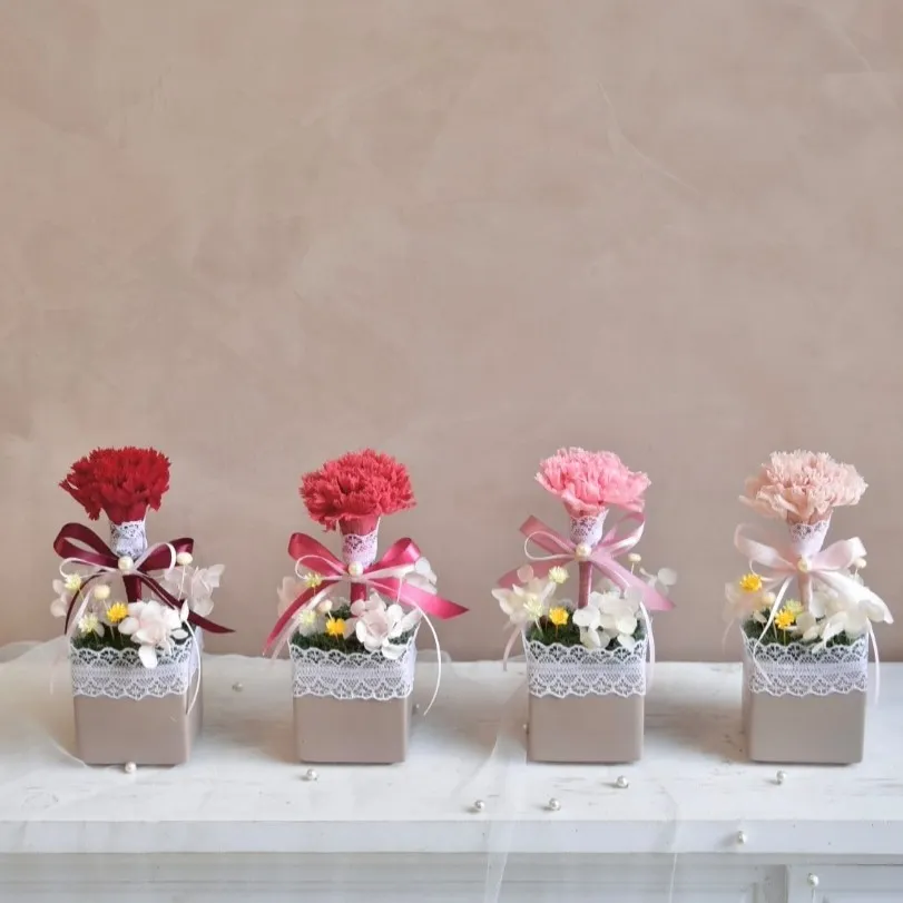 單朵永生康乃馨盆花