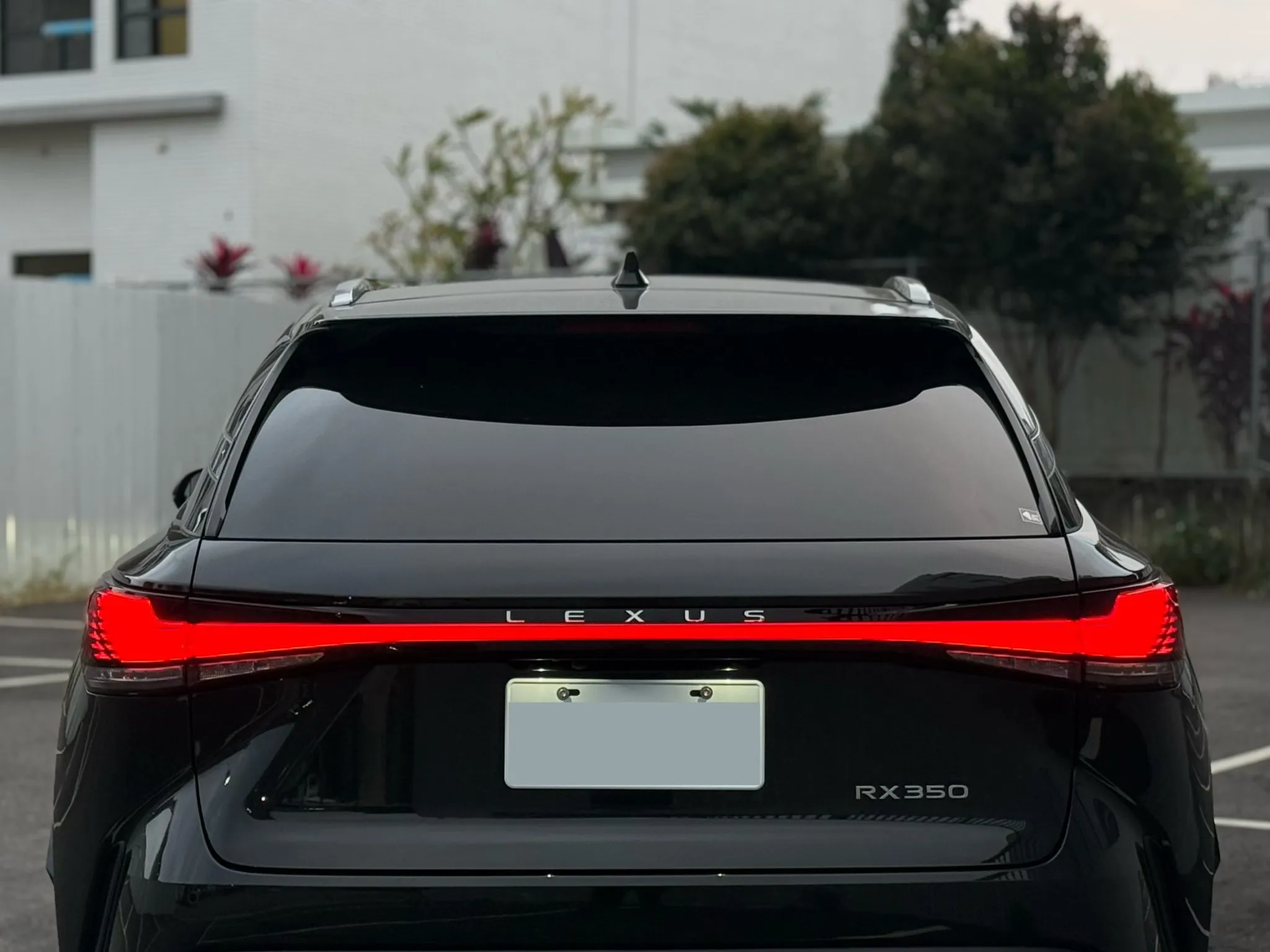 2025年 LEXUS RX350 頂級版