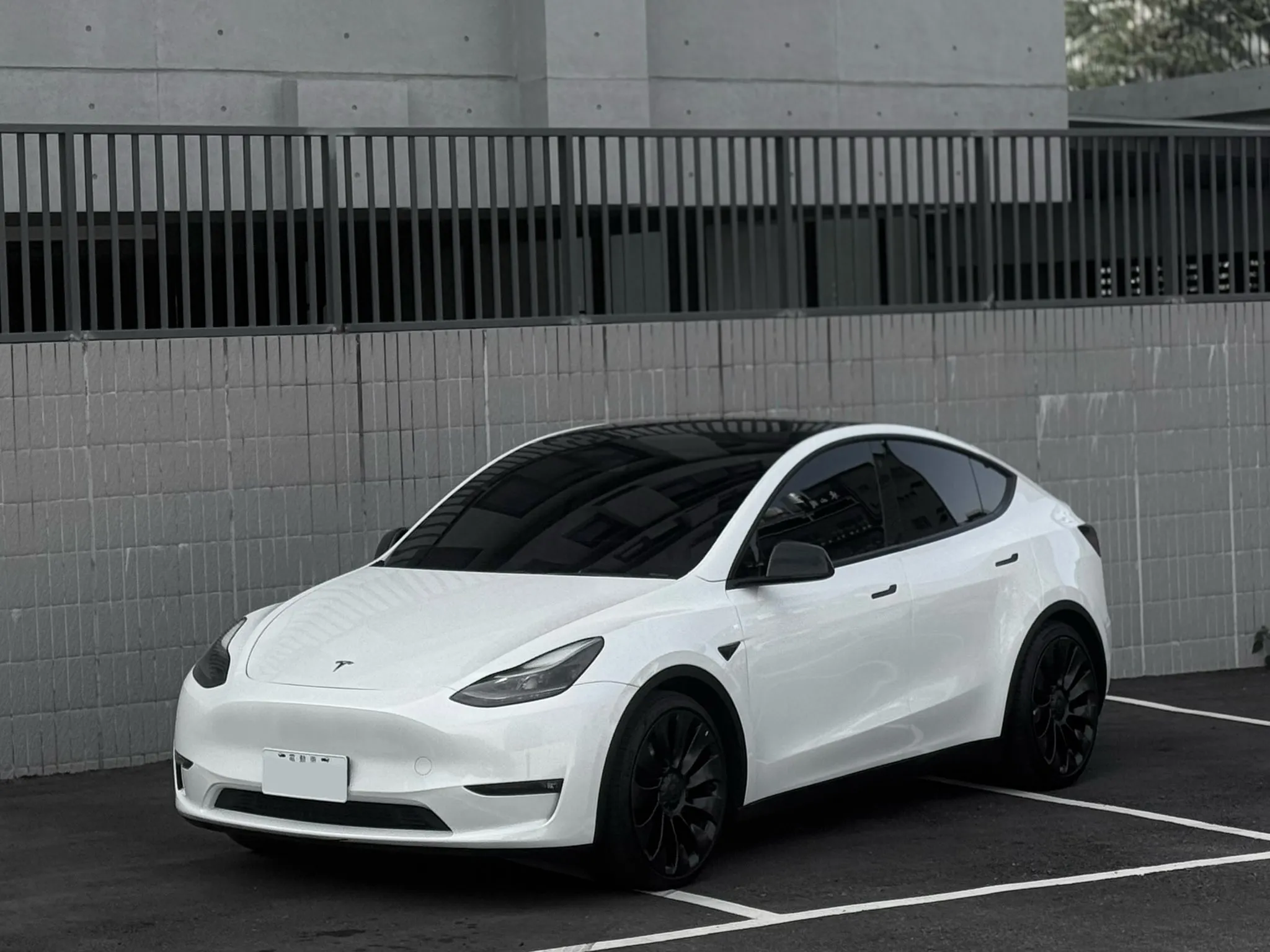 2023年 TESLA Model Y Performance