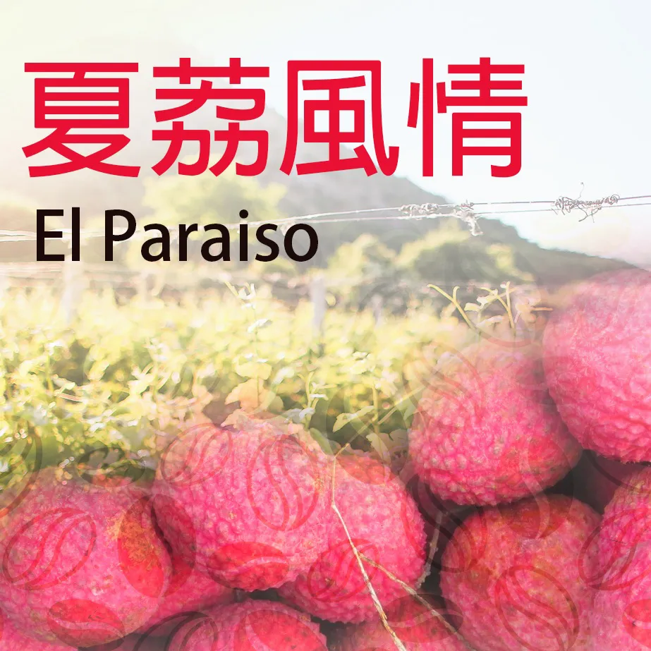 哥倫比亞厭氧夏荔風情 (新上市)限量販售