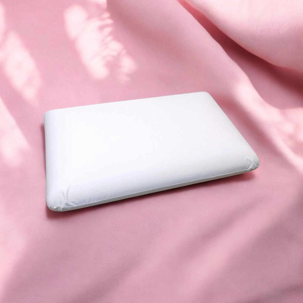 【全館免運】源世紀-圓夢枕(無枕套) (偏硬支撐) (慢回彈)