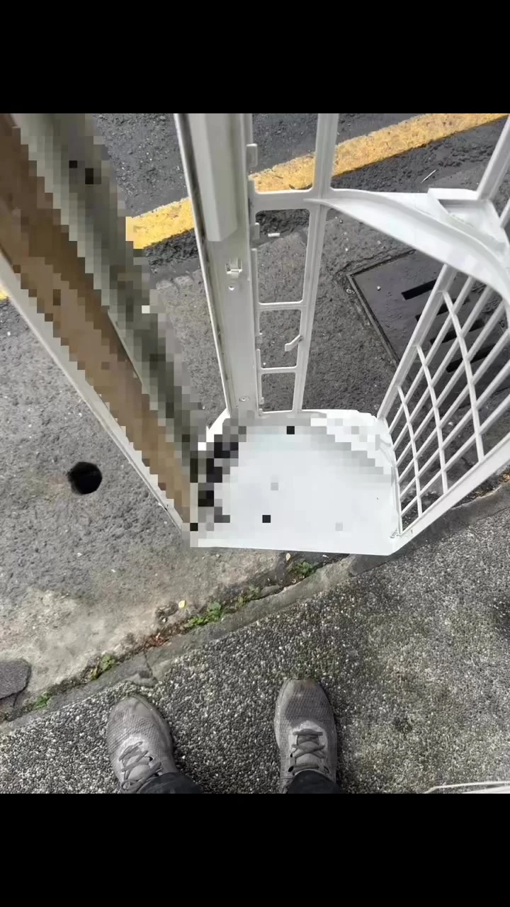 老鼠鑽進冷氣室內機？這不是小事！
