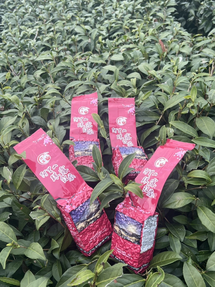 阿里山珠露紅茶 一斤