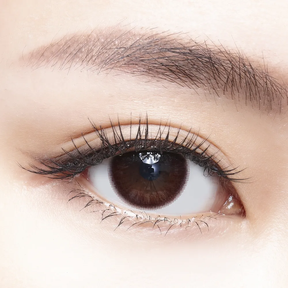 帝康 光漾瞬間 曙光棕 日拋