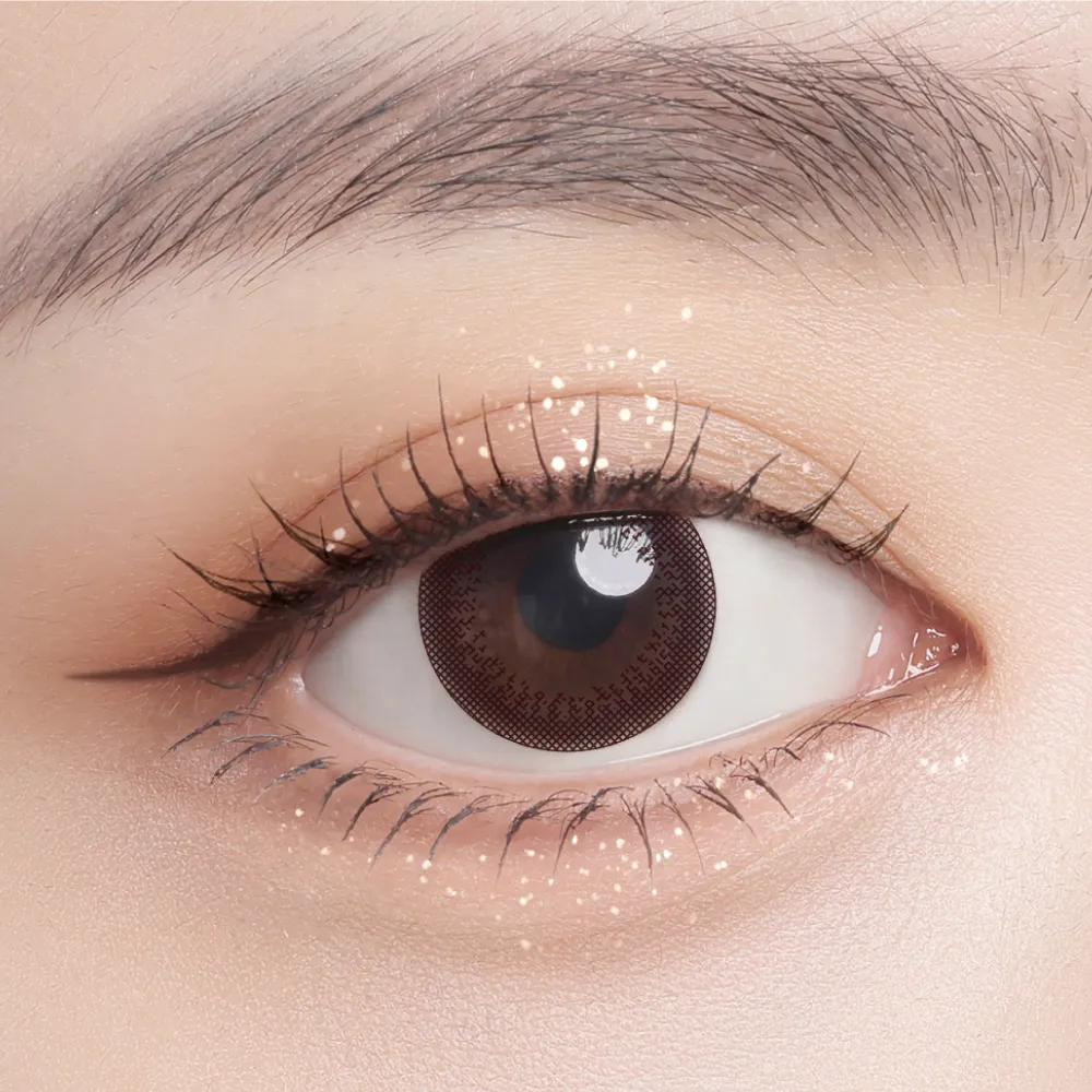 帝康 放大棕 日拋