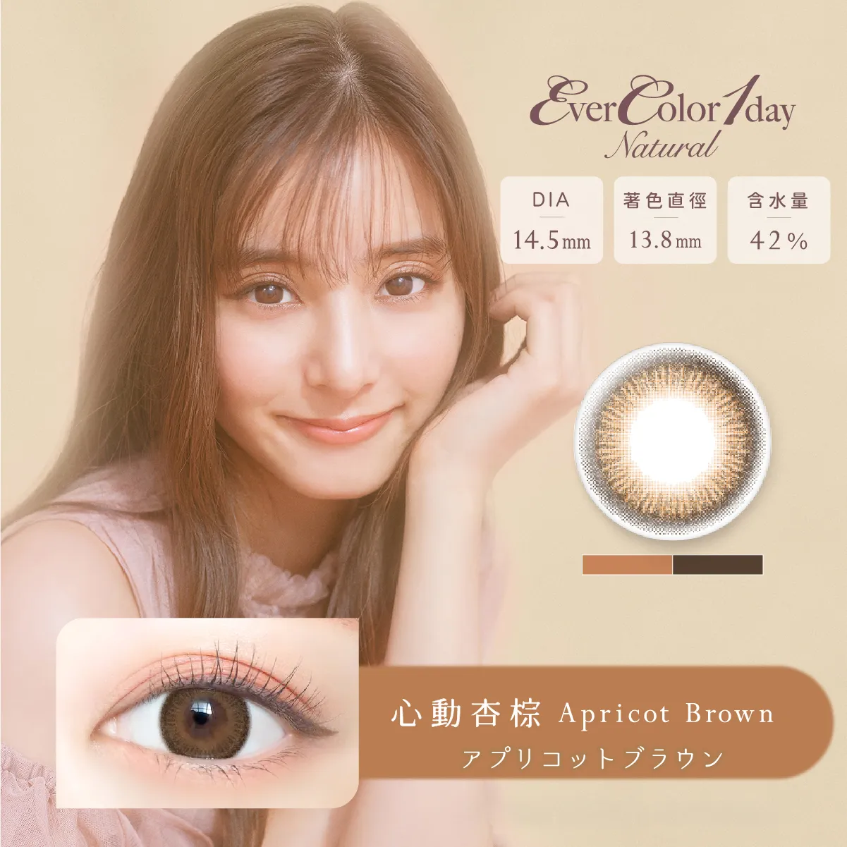 帝康 EVERCOLOR NATURAL 心動杏棕 日拋