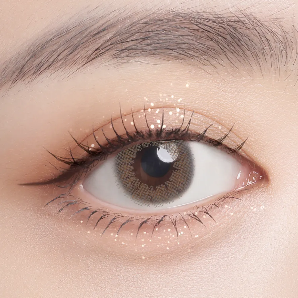 帝康 光漾瞬間 暮光褐 日拋