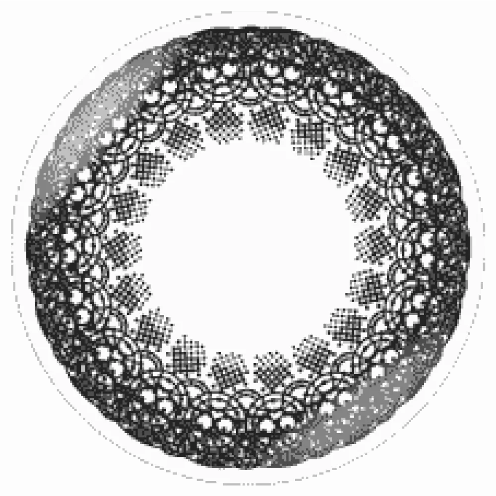 帝康 蕾絲黑 月拋