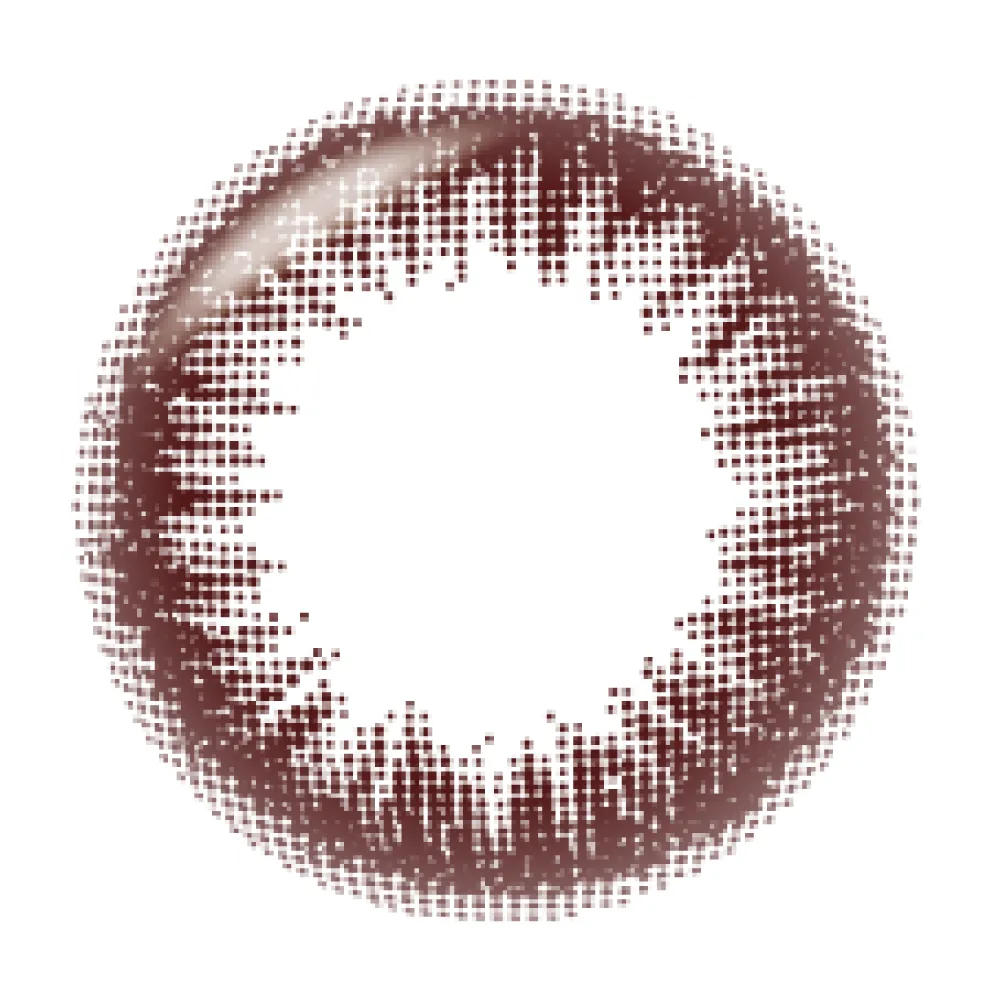 帝康 光漾瞬間 曙光棕 日拋