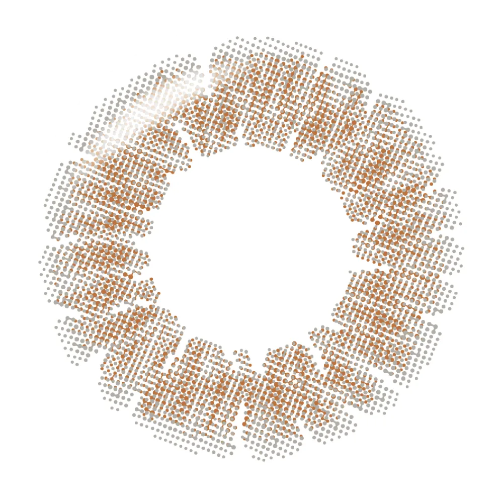 帝康 光漾瞬間 暮光褐 日拋