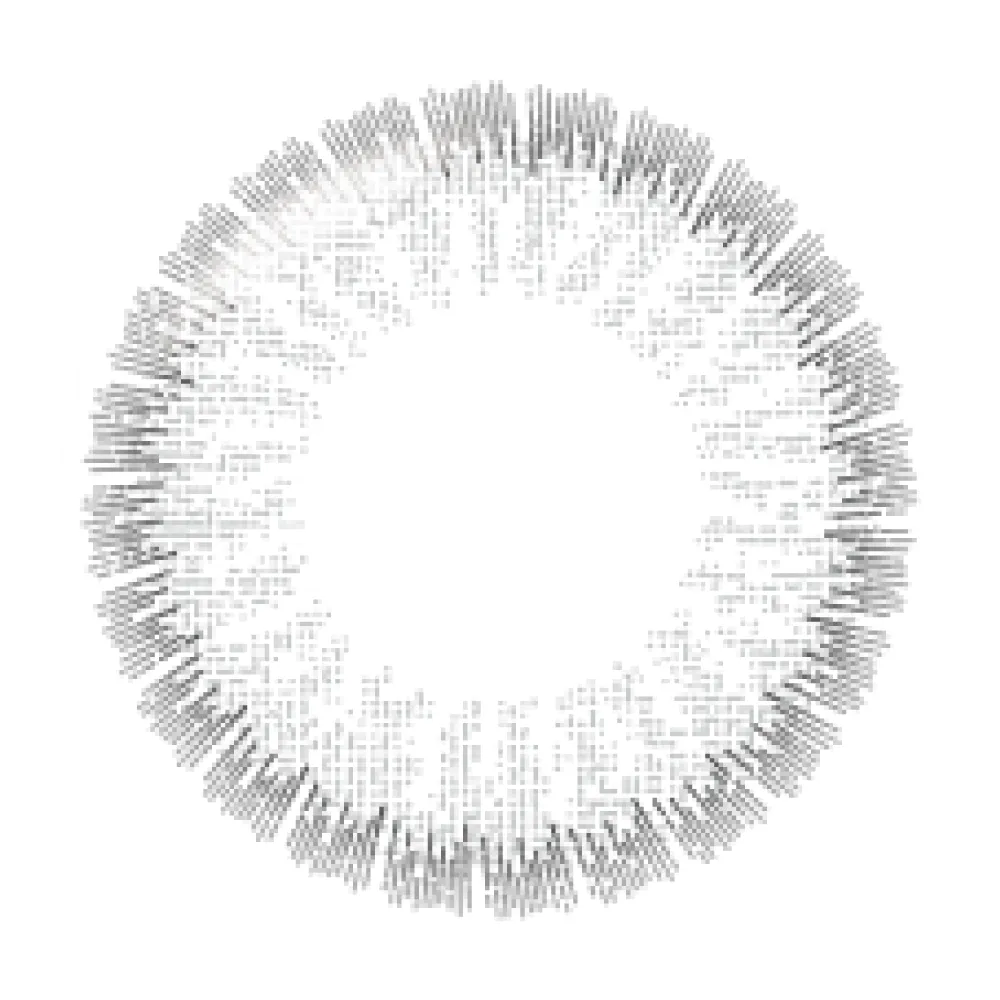 帝康 光漾瞬間 極光灰 日拋