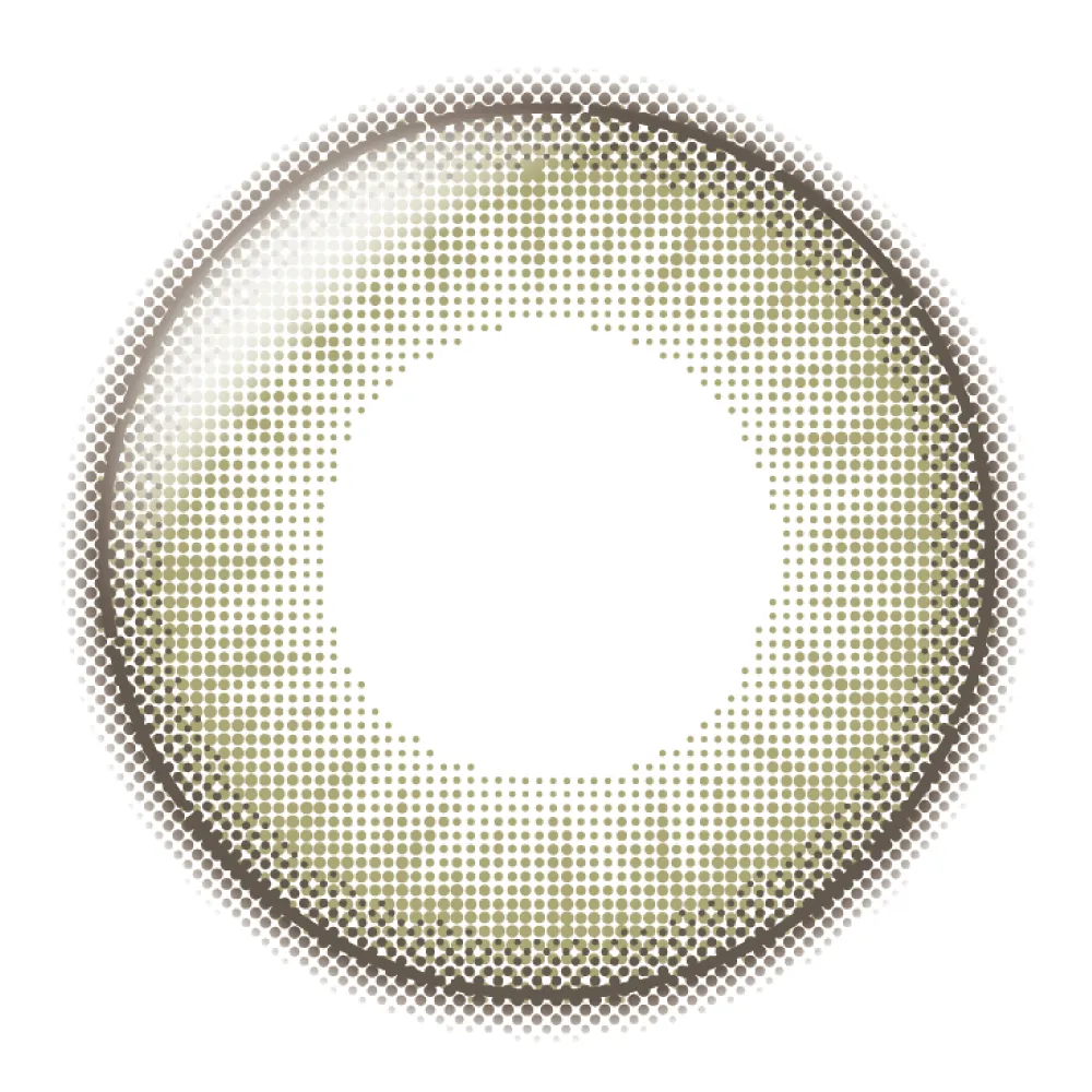 帝康 光漾瞬間 晨光橄欖 日拋