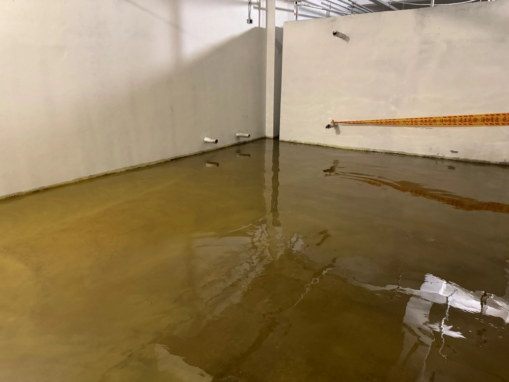 EPOXY環氧地坪