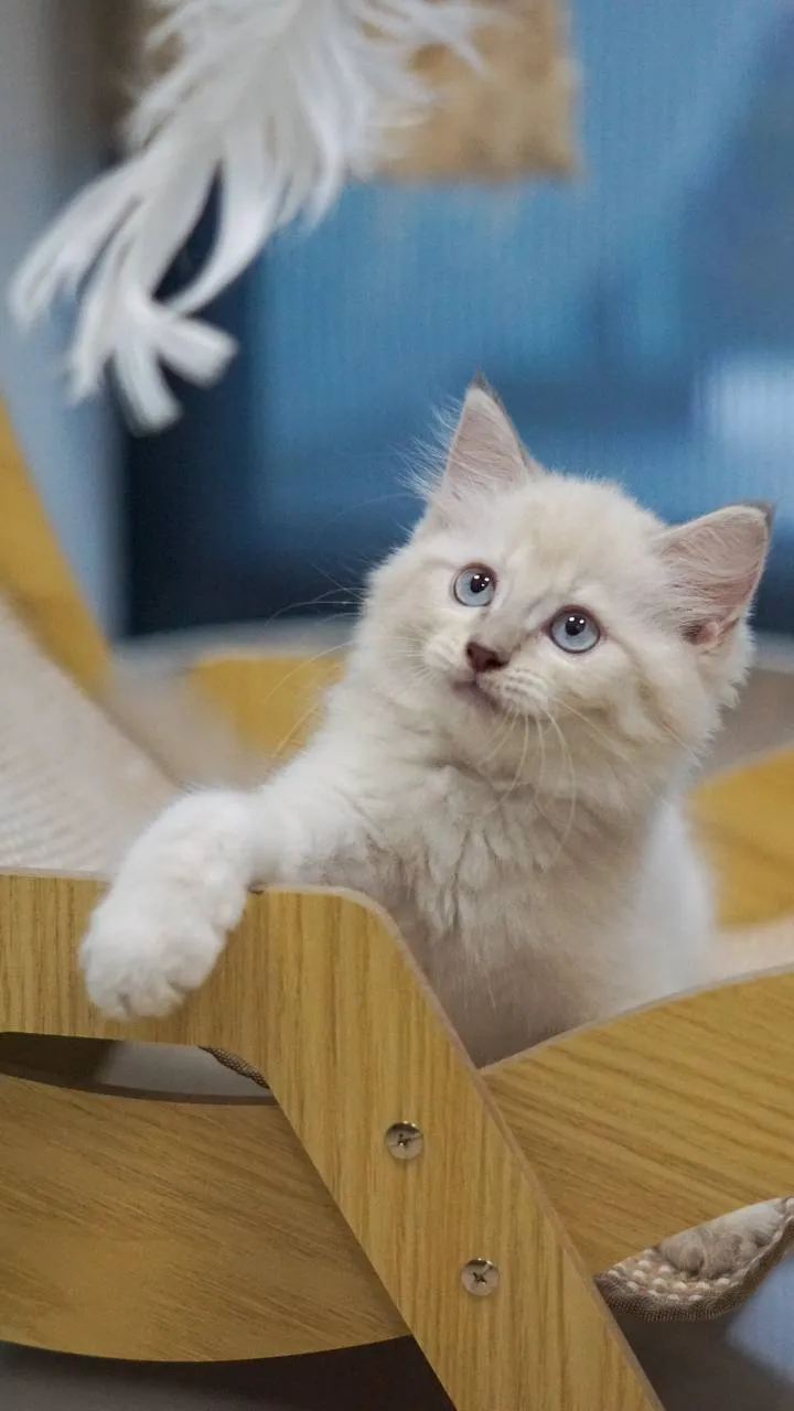 闆娘生日優惠專區