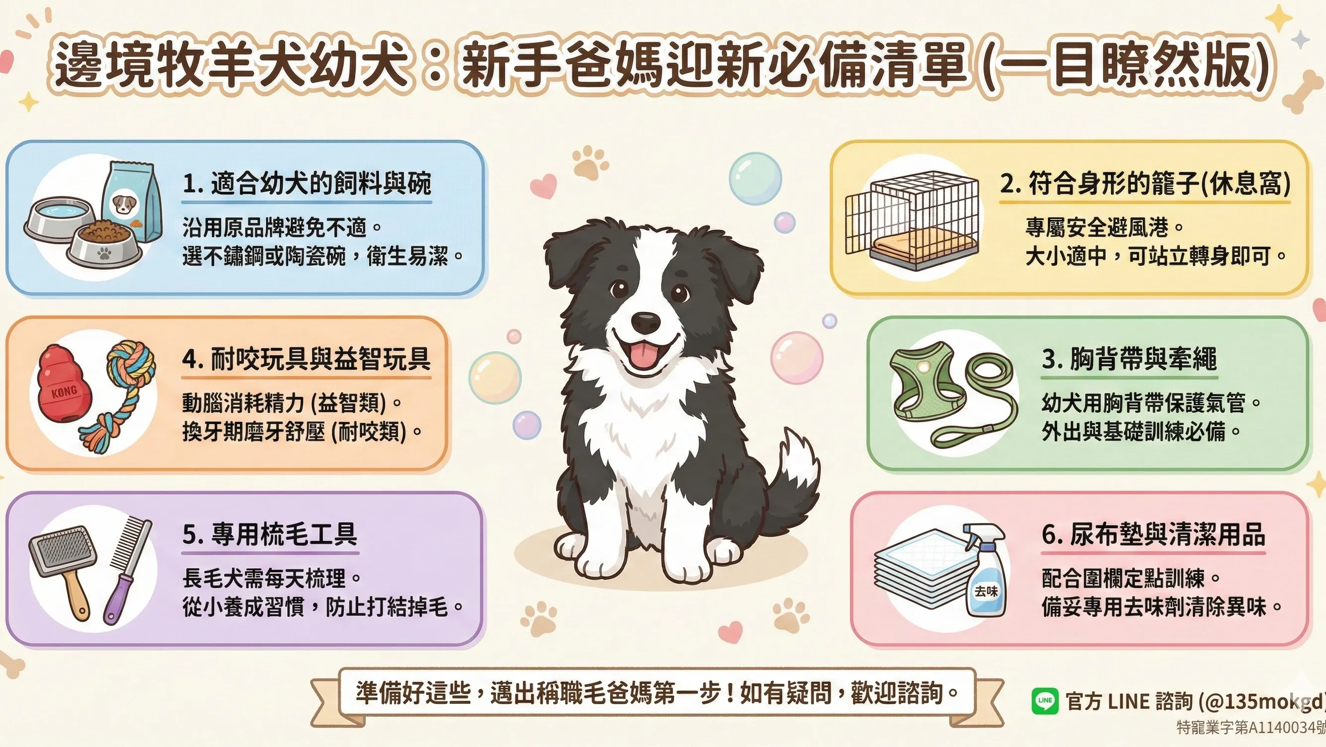【新手爸媽必備】邊境牧羊犬幼犬迎新清單：接狗前該準備什麼？