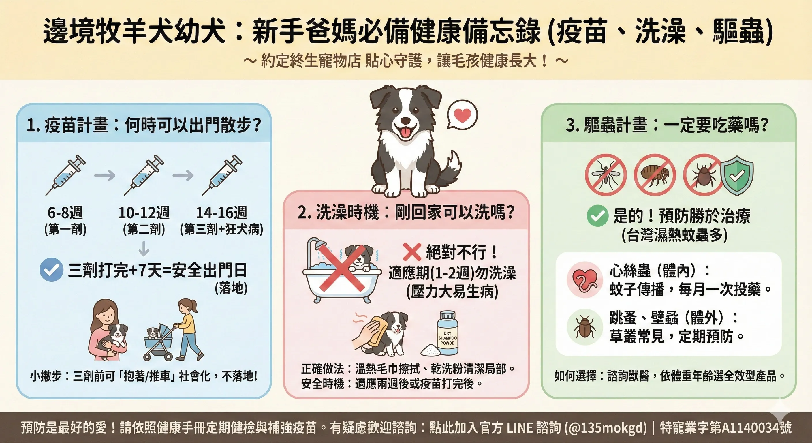 邊境牧羊犬幼犬健康照護Q&A：疫苗時程、洗澡時機與驅蟲攻略