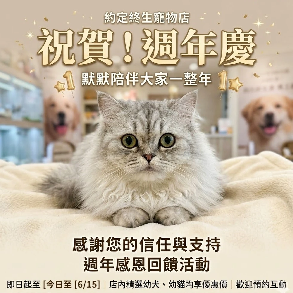 感謝有您，約定終生週年慶