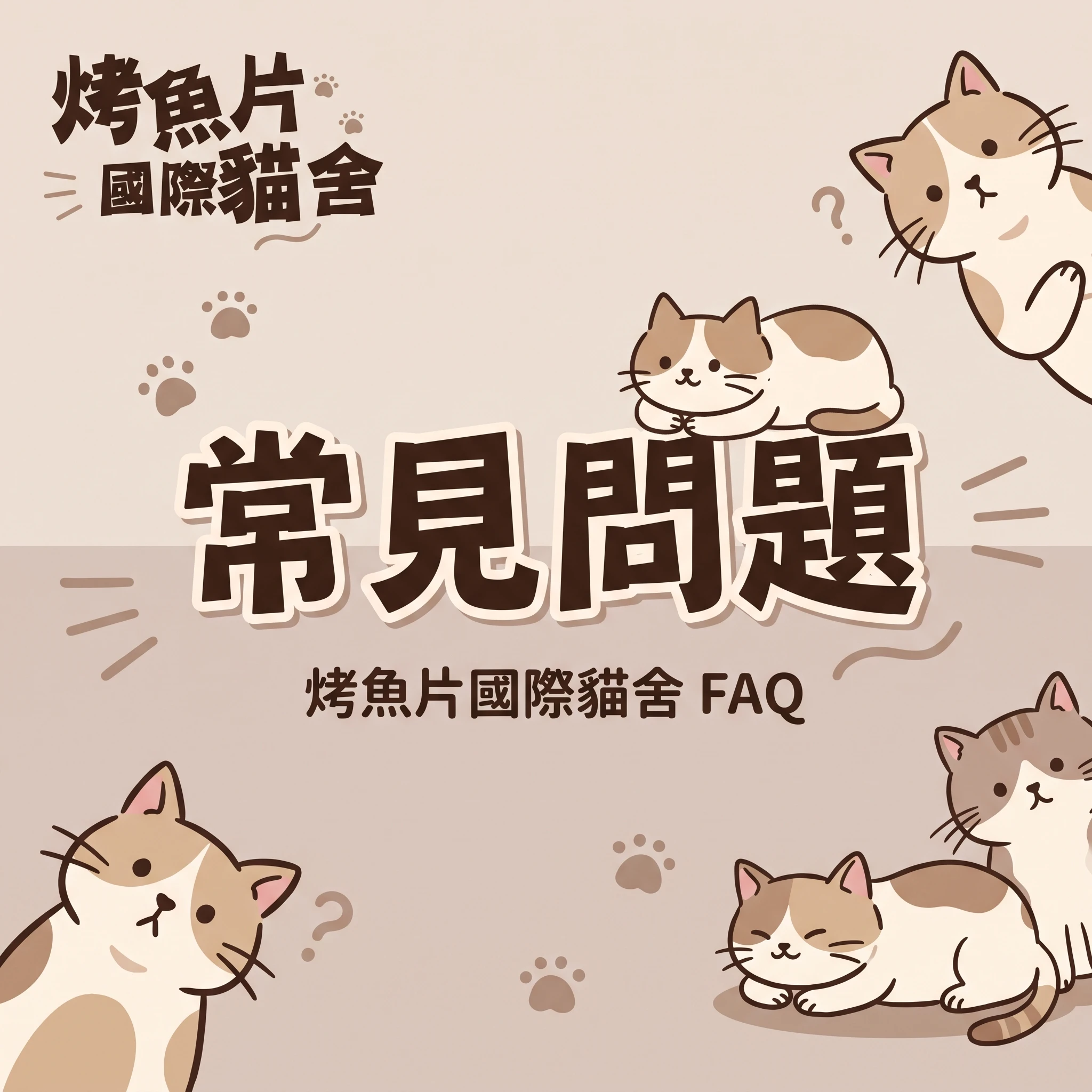 緬因貓怎麼養才健康？專業貓舍帶你認識大貓的獨特魅力！溫柔巨人來襲！