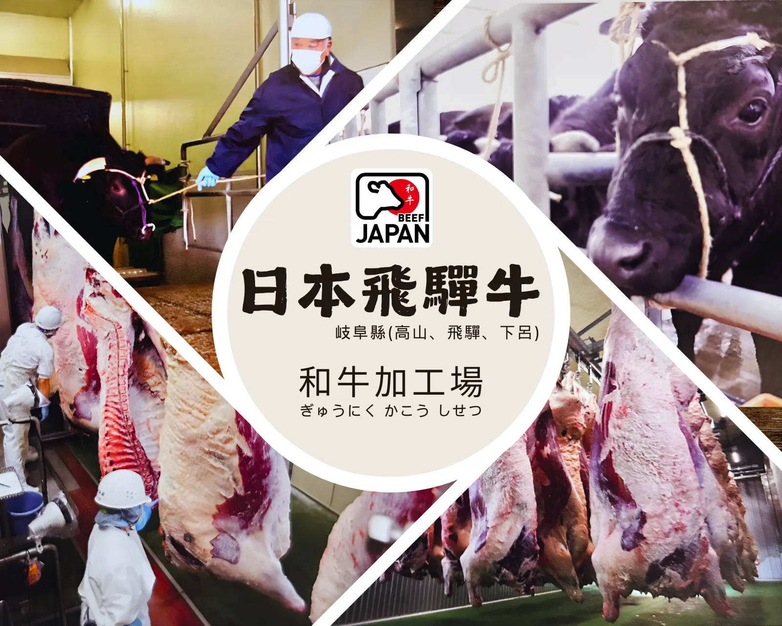 飛驒加工廠介紹｜驒嶽本舖邀您一探究竟｜台中肉舖牛肉批發