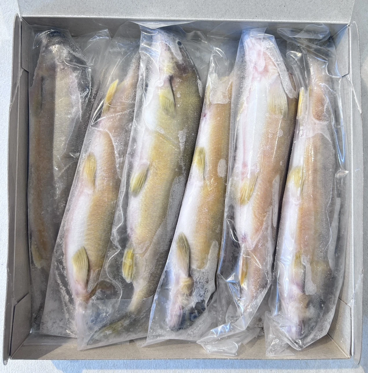 【台灣】有卵香魚