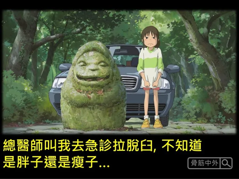 吉卜力參賽-骨科醫師的日常
