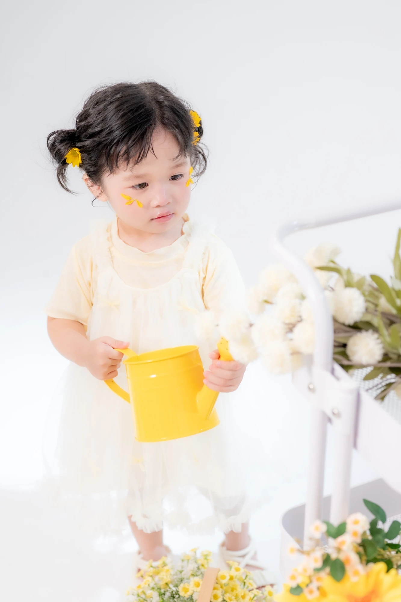 花（2歲）