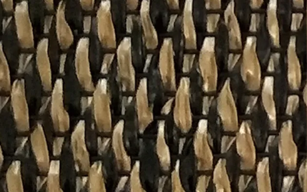 NFC52024​