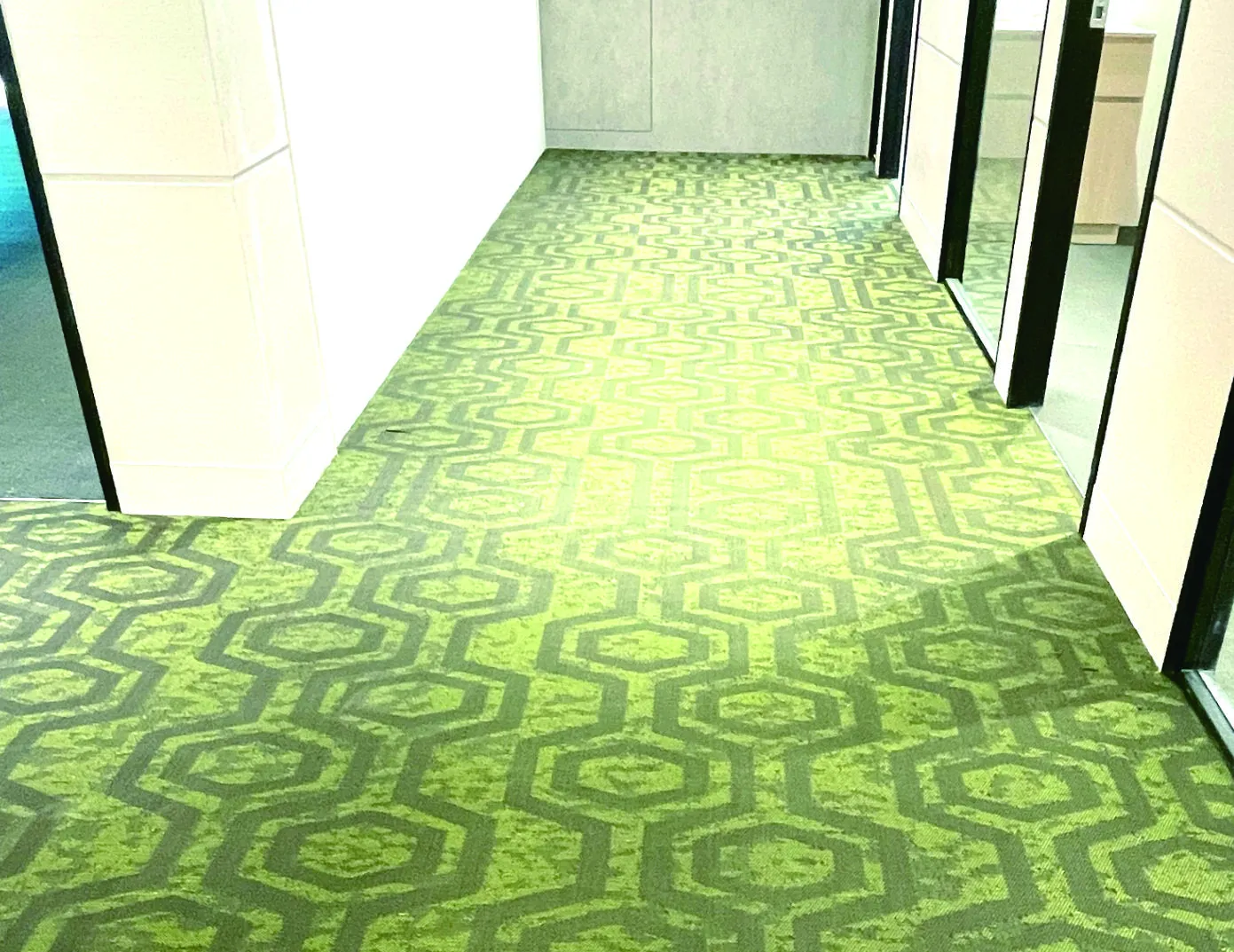 NFC6019