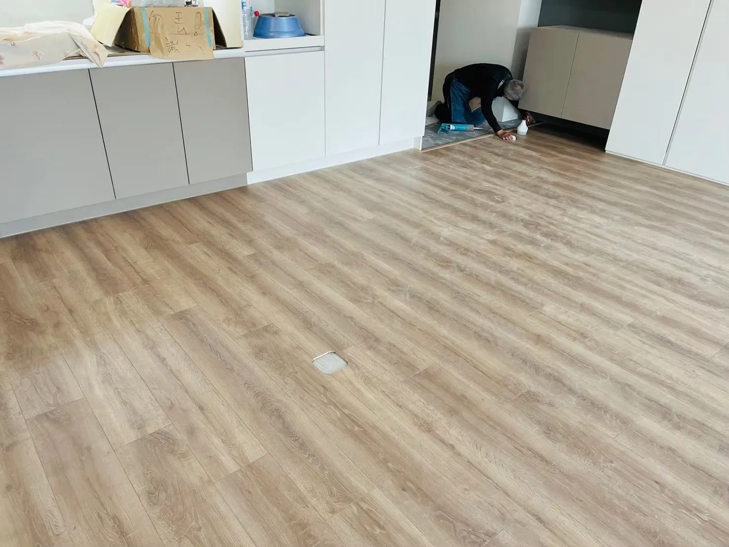 223班迪橡木
