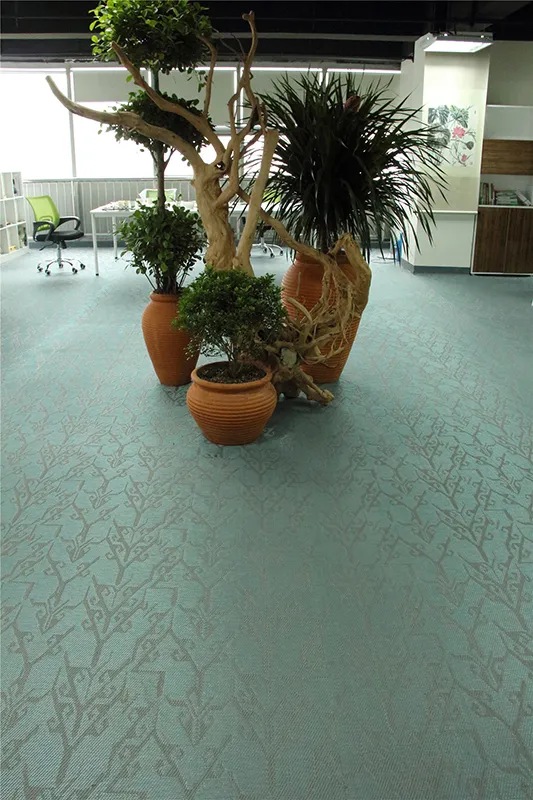 NFC6029