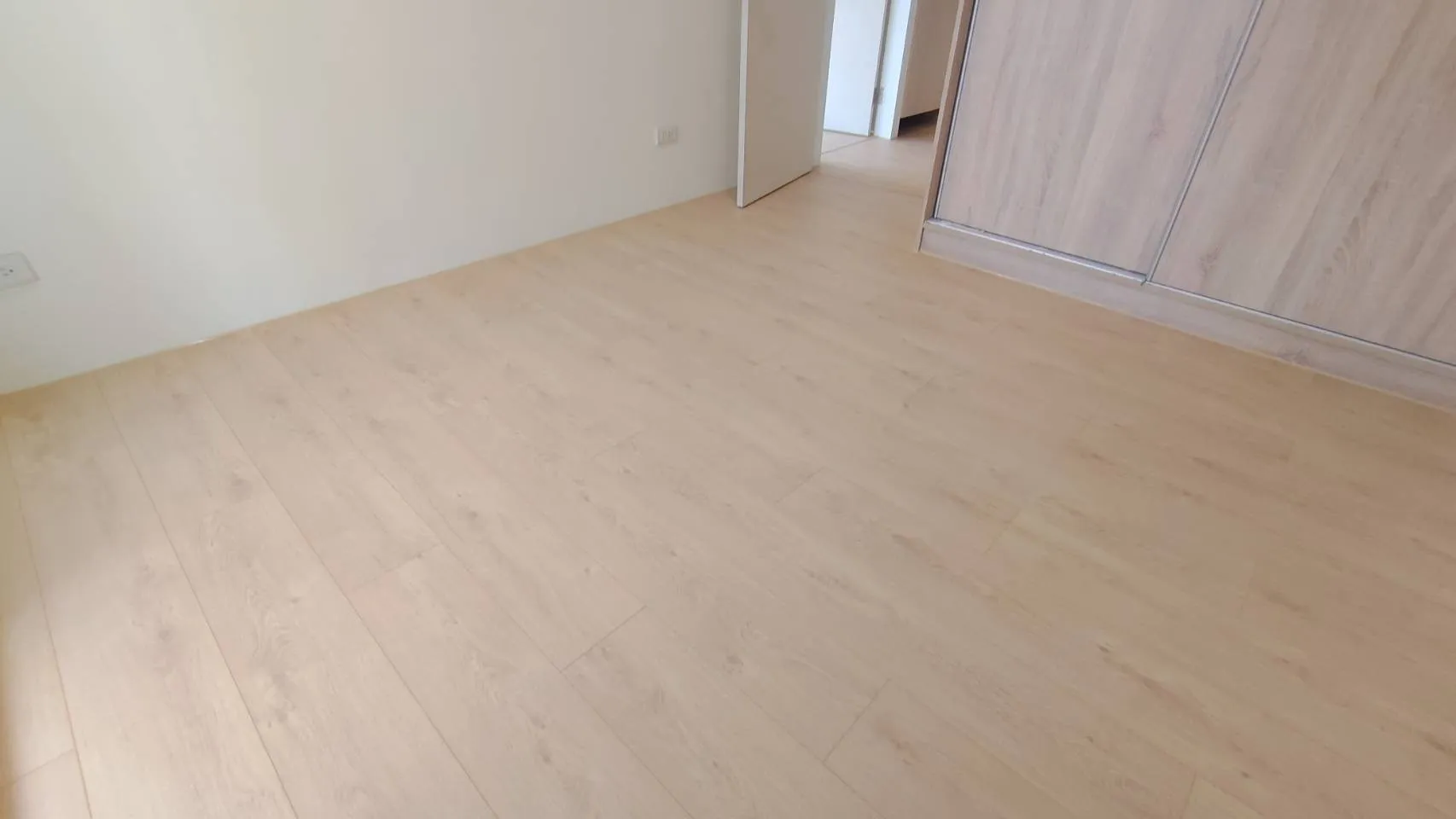 553春日橡木
