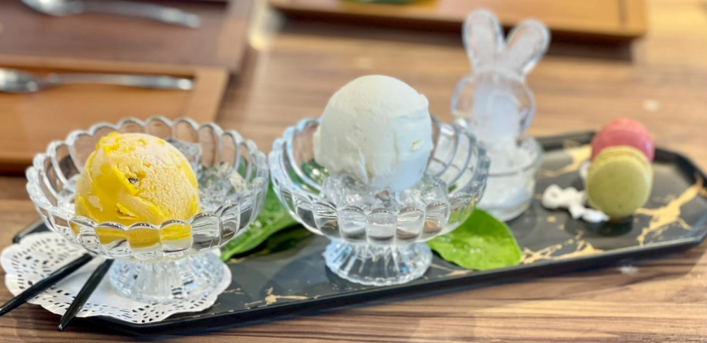 家庭聚餐｜產品說明會｜生日派對