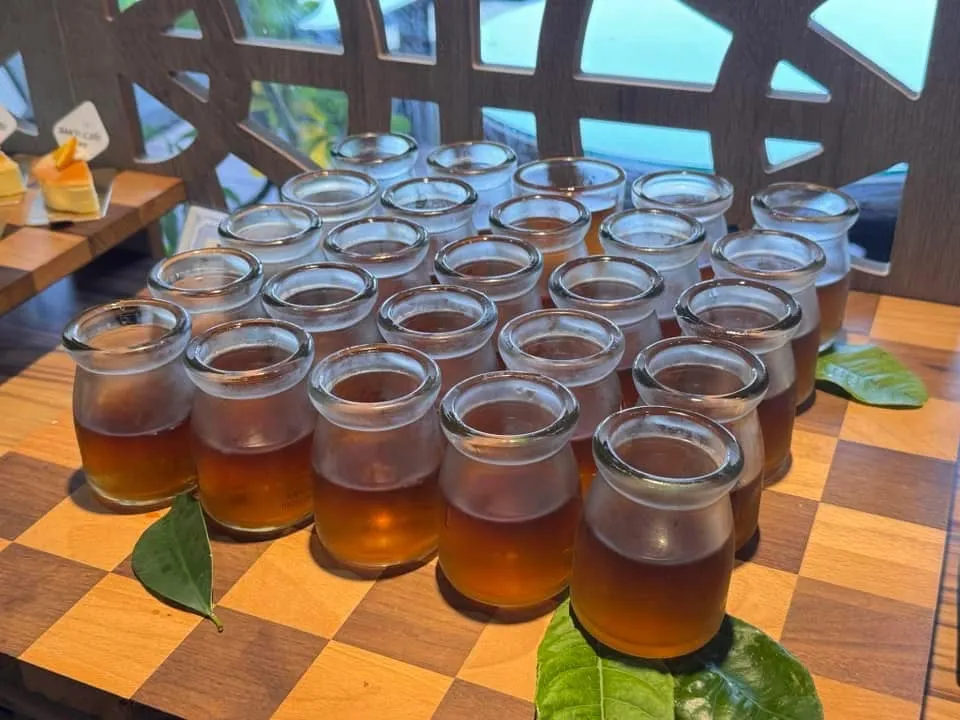 小小鹿兒｜音樂成果發表