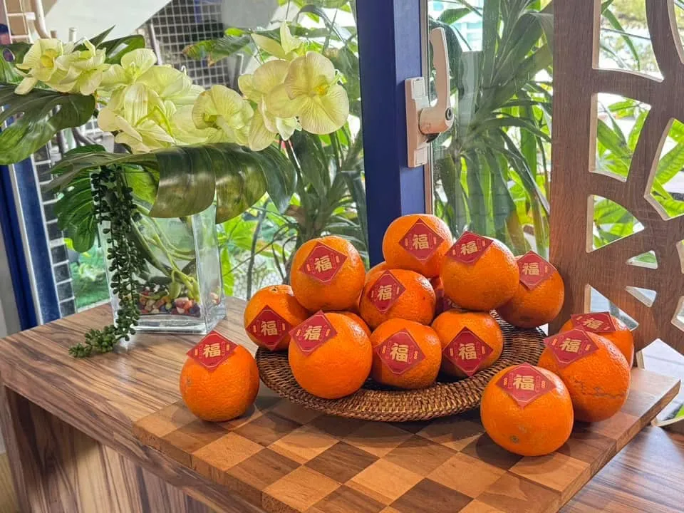 小小鹿兒｜音樂成果發表