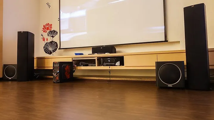 Polk audio TSx