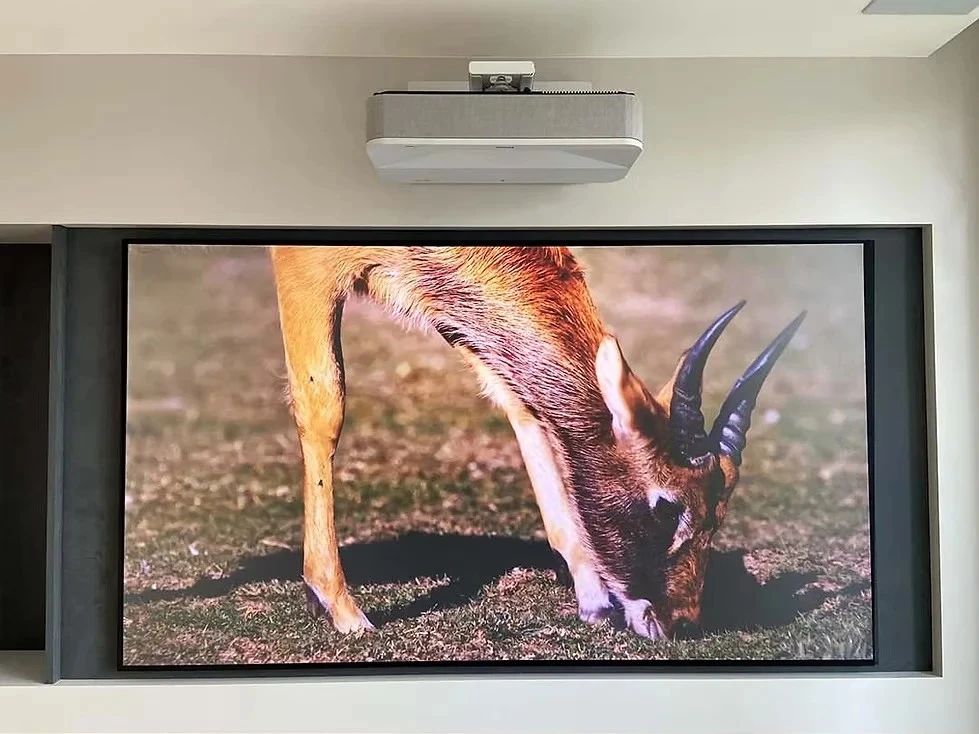 日本 EPSON 投影