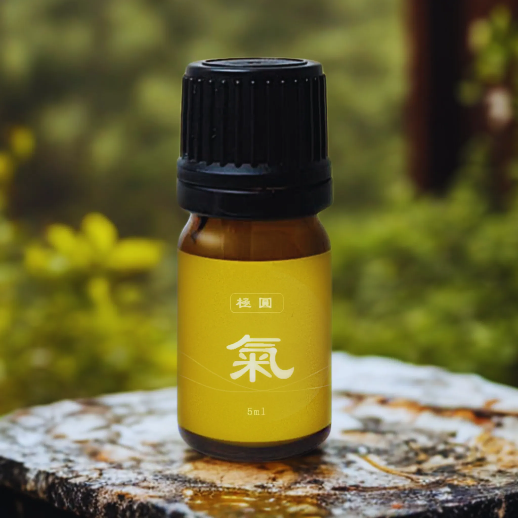 【極圓系列｜氣】✧
