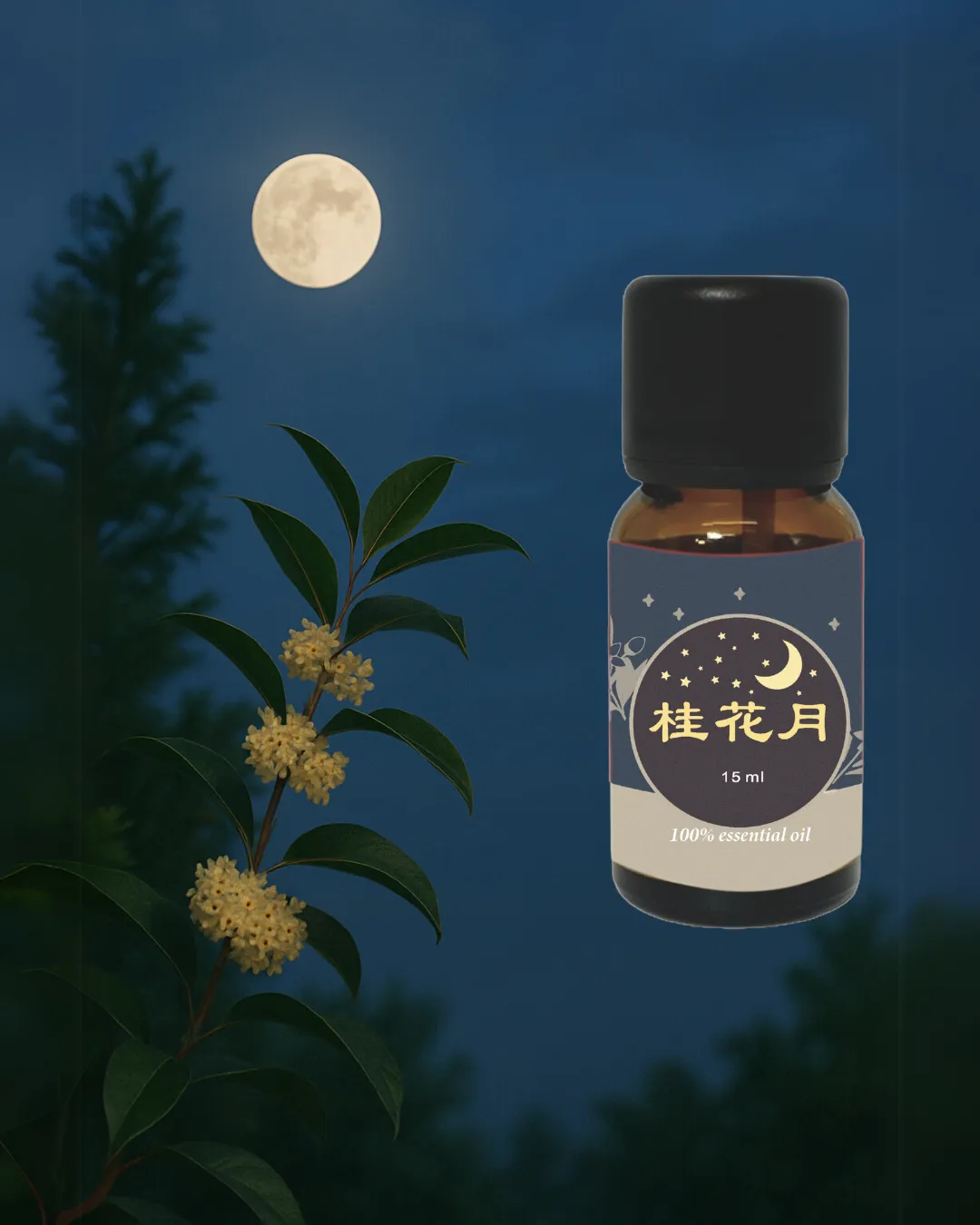 桂花月｜靜夜香息，綻放於心