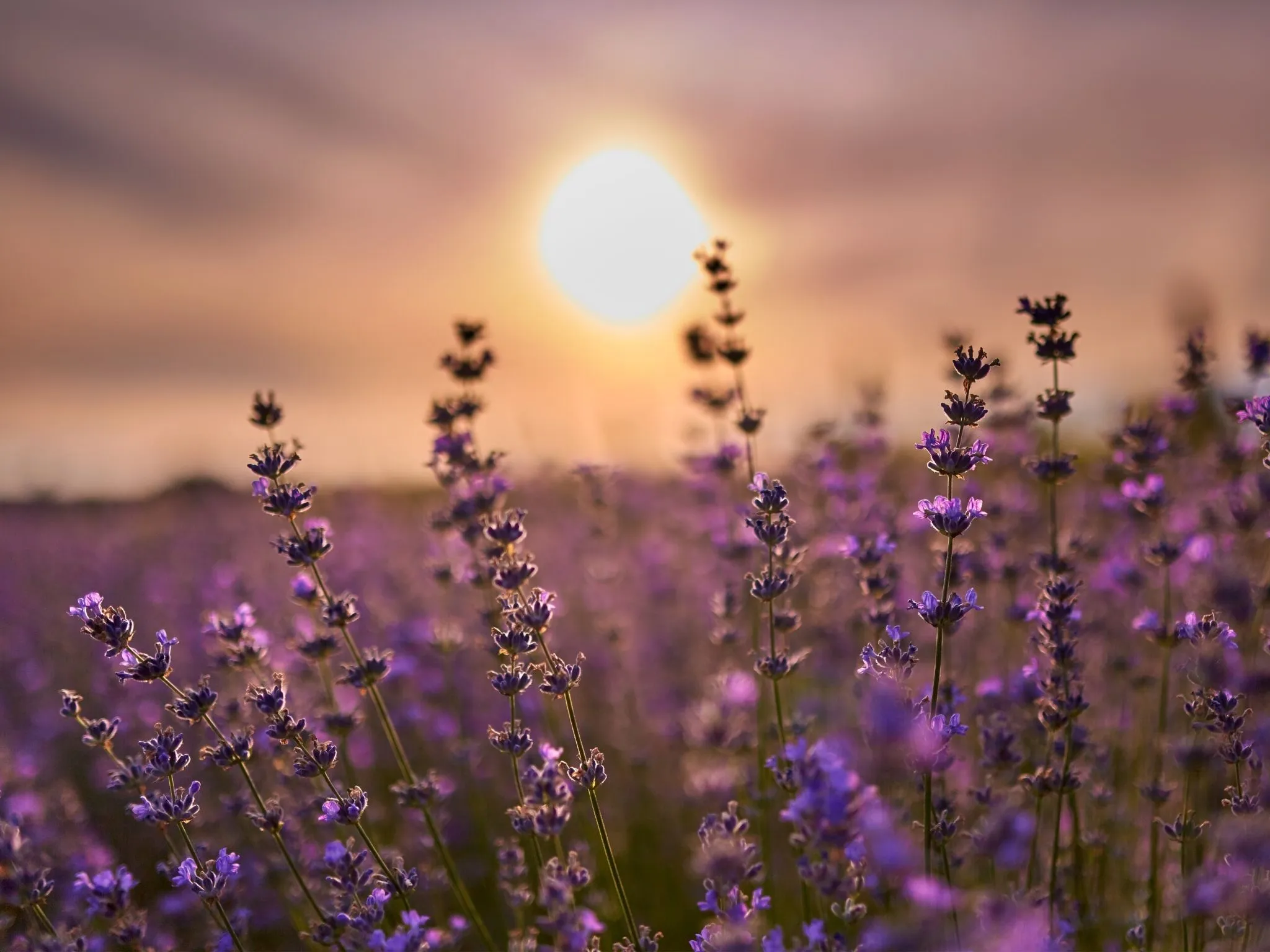 為什麼你總是吸引到錯的人？是你的「心輪」能量受損了嗎？