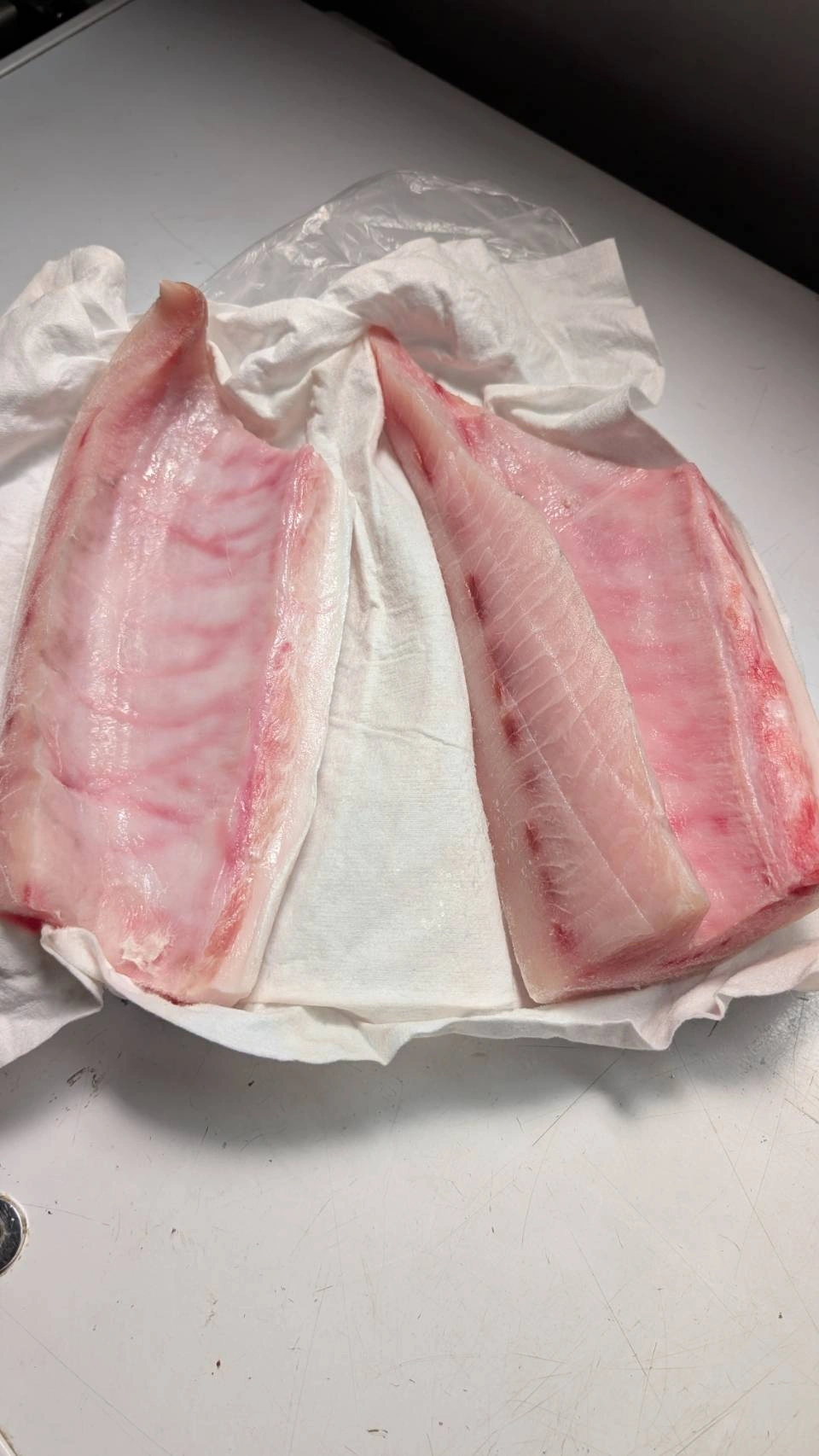旗魚肚肉(時價)