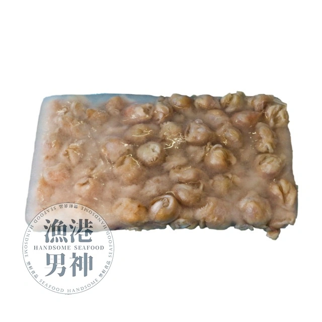 龍珠 11/15