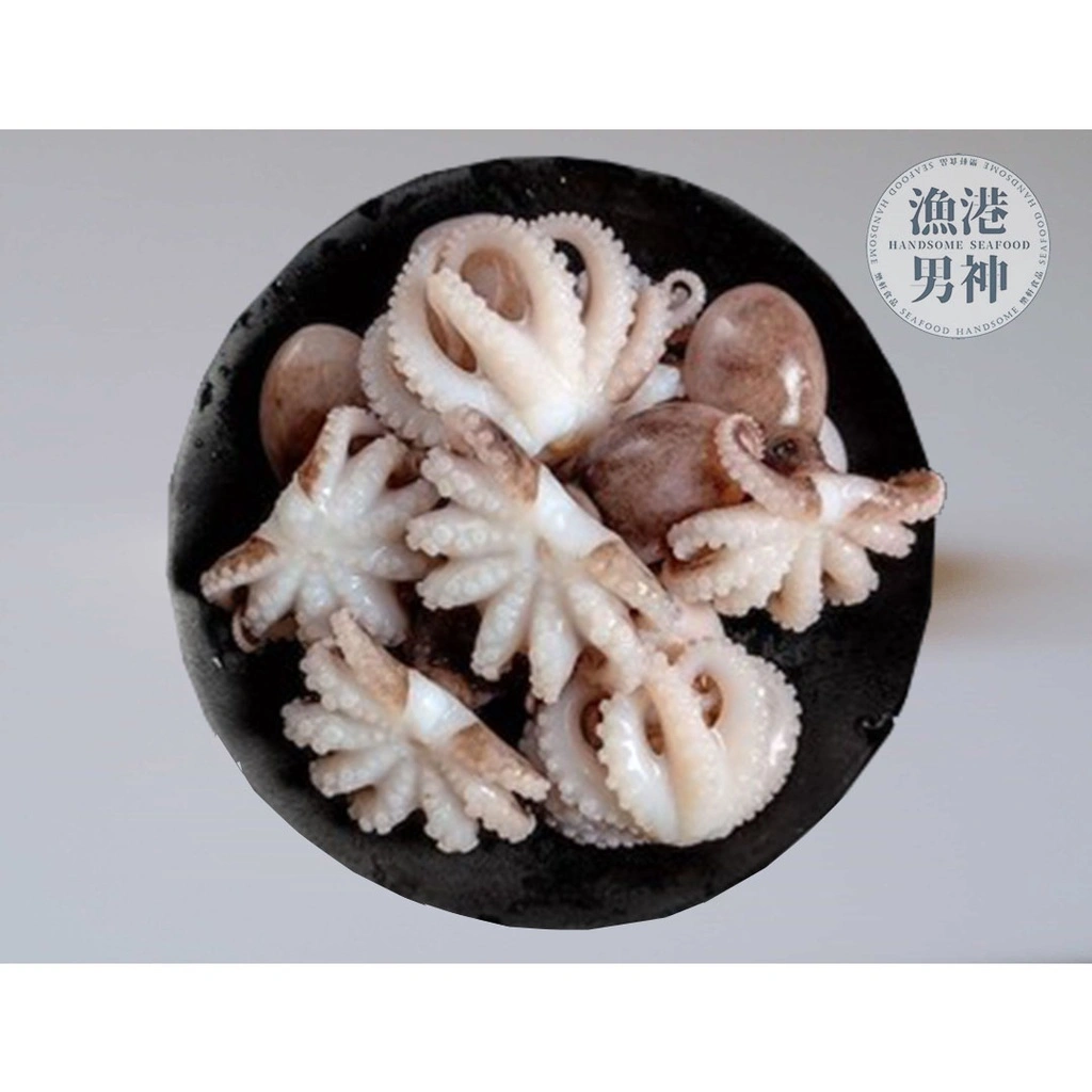小章魚-規格洽詢