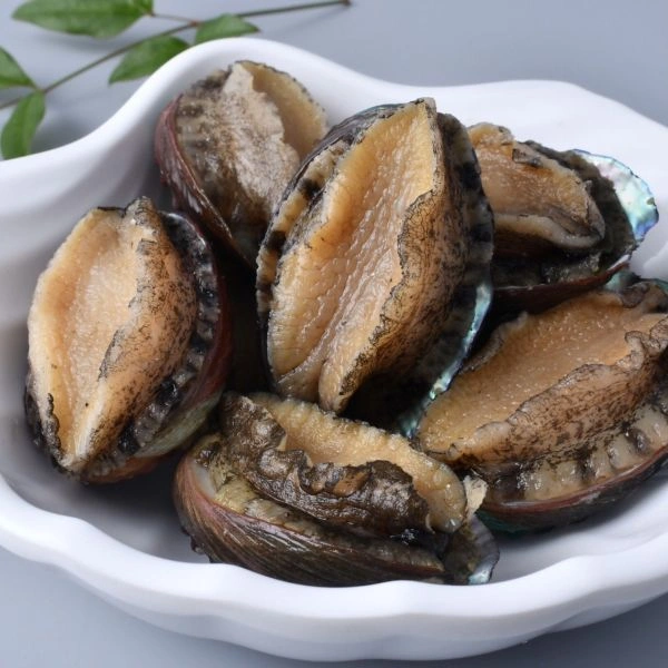 鮑魚-16 件/12盒