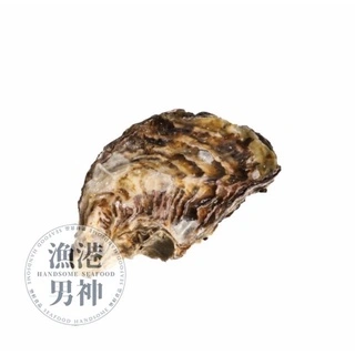 日本生蠔-生食等級
